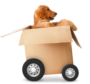 Moving Day! AhHa for Genealogists Blog is Moving